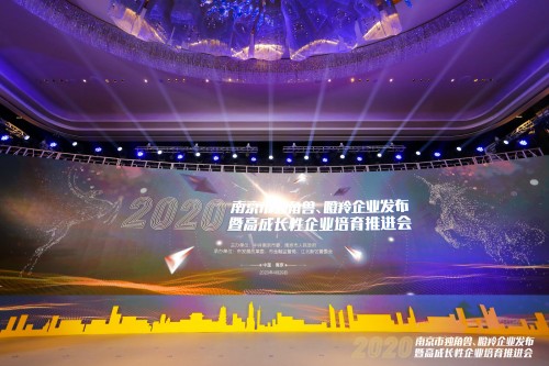 大美股份再次榮獲“南京市瞪羚企業(yè)”稱號(hào)！