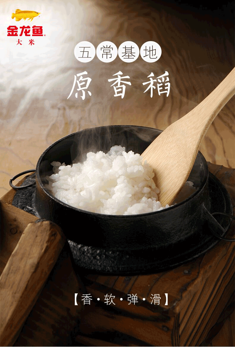 “香軟彈滑”的金龍魚原香稻，口口下去皆是人間美味