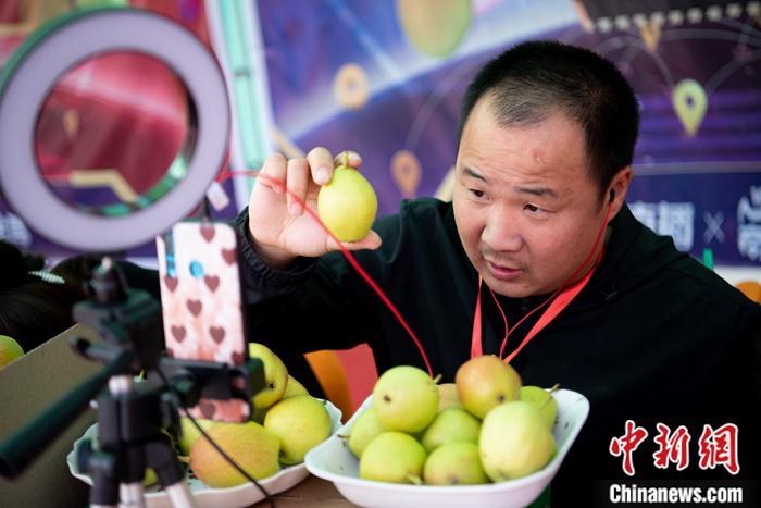 資料圖：果農(nóng)使用手機(jī)進(jìn)行直播促銷農(nóng)產(chǎn)品。<a target='_blank' ><p  align=