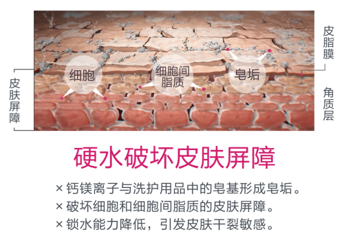 A.O.史密斯揭秘夏季皮膚出油干燥的真相