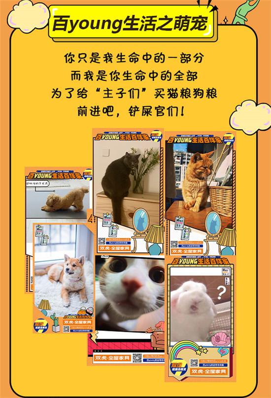 圖片5.jpg