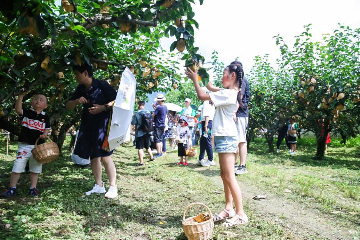 線上鎮(zhèn)長直播帶貨、發(fā)放旅游消費券，線下開啟“鸕鳥七點半”！鸕鳥蜜梨生活節(jié)來了！