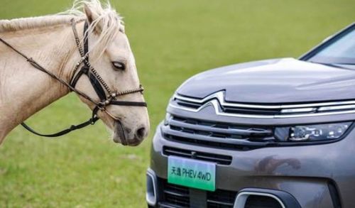 神龍汽車CEO變動 或與銷量不佳有關