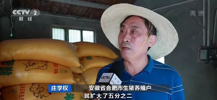 豬肉價(jià)格大跌！養(yǎng)一頭豬虧500元 接下來怎么走？