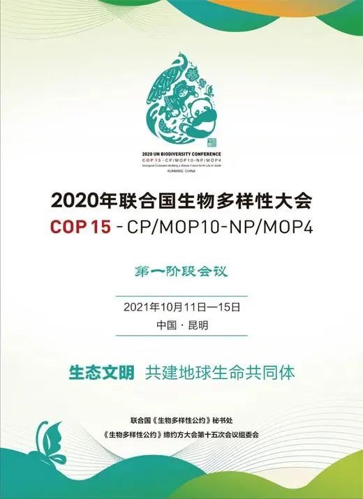 聚焦聯合國COP15大會 蕃茄田藝術用愛守護生物多樣性