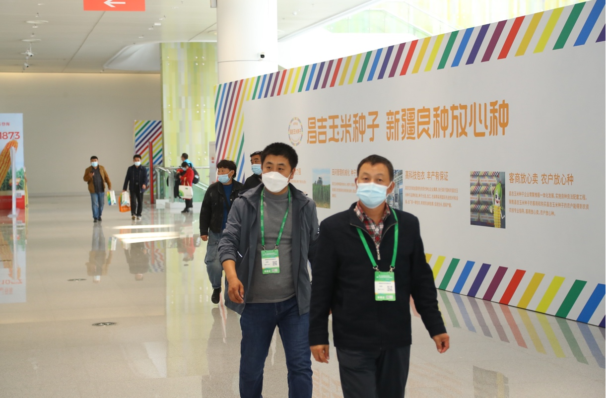 新疆昌吉：品牌化打響種業振興“第一槍”