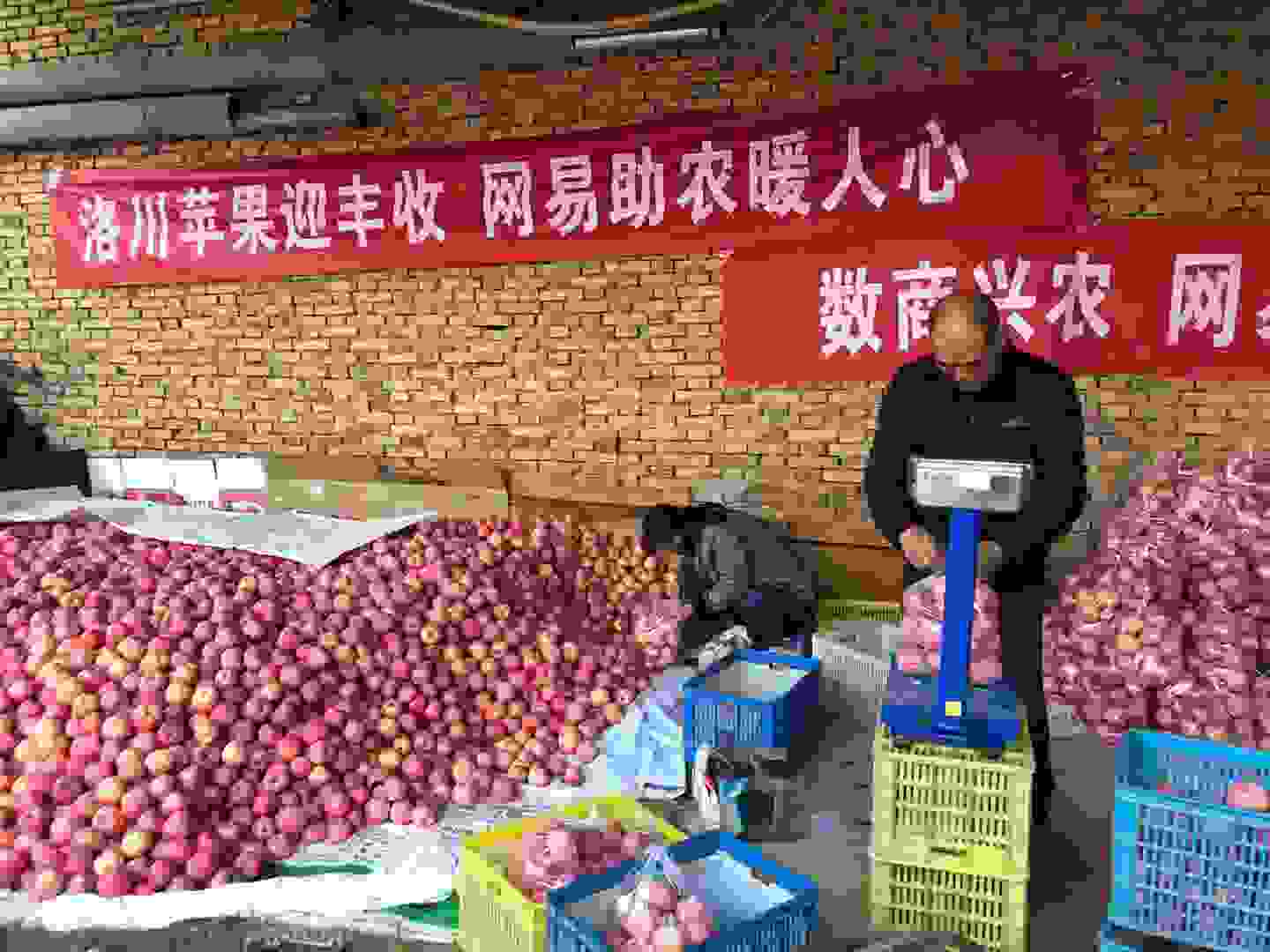 網易嚴選帶貨陜西蘋果，數商興農助力共同富裕