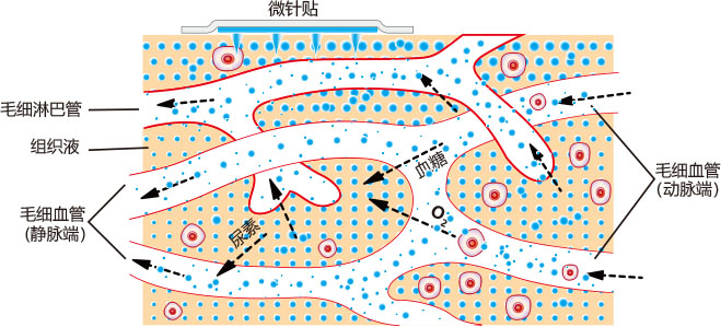電商風靡，“國貨”化妝品中科創美迎來新機遇？