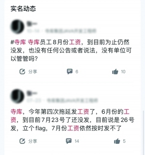 寺庫股權凍結 奢侈品電商是個偽命題？