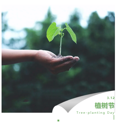 天津康婷：植樹節有什么意義？