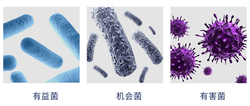 圖片2.png