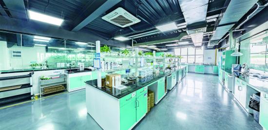 集泰股份總經理鄒珍凡：深化有機硅膠領先優勢 發力電子膠新市場