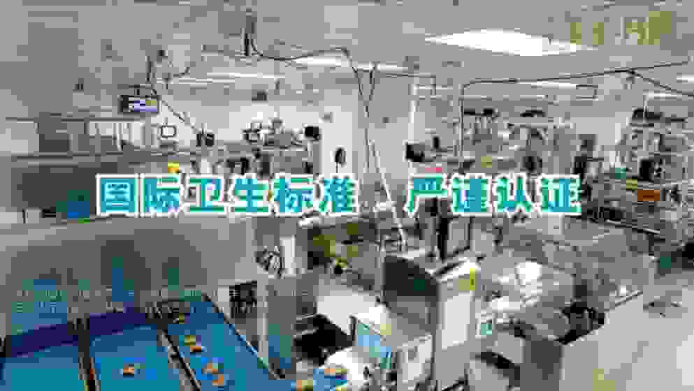 猶如最美中秋之“色”的香港美心月餅