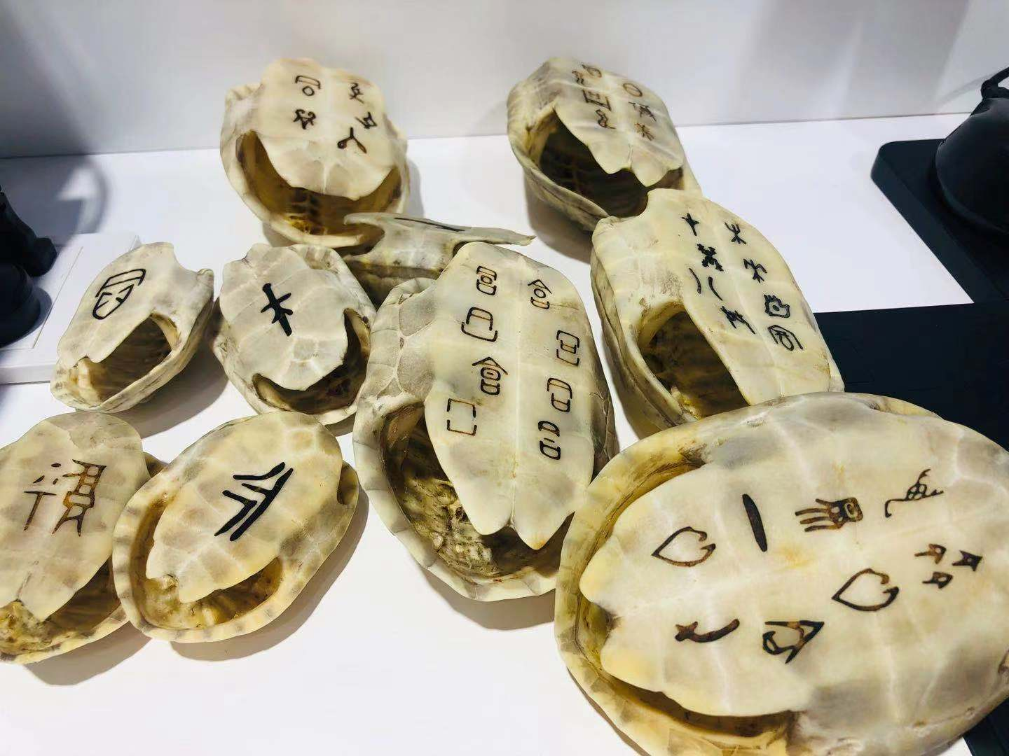 名片全能王：不明覺厲！甲骨文居然也能識別！