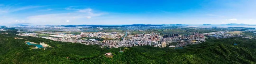 激發產業興旺“新”活力 珠海金灣區平沙鎮“產業+農業”雙輪驅動邁向高質量發展新征程
