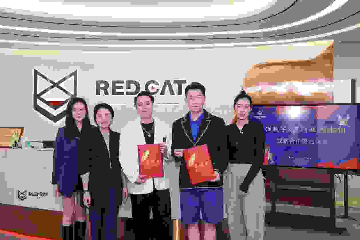 下一個獨角獸？黑洞謎塔Meta攜手紅貓數字探索元宇宙