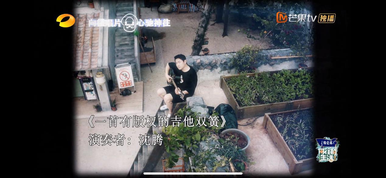 沈騰馬麗爆笑合體蘑菇屋，容聲冰箱守護食材本味
