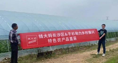錢大媽華中區(qū)加盟店上市長沙干杉黃瓜，直采特色農(nóng)產(chǎn)品獲贊無數(shù)
