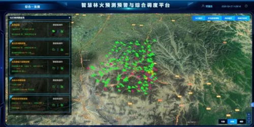 保倫電子itc助力某市林業局防火辦筑牢森林安全防線！守護綠色家園！