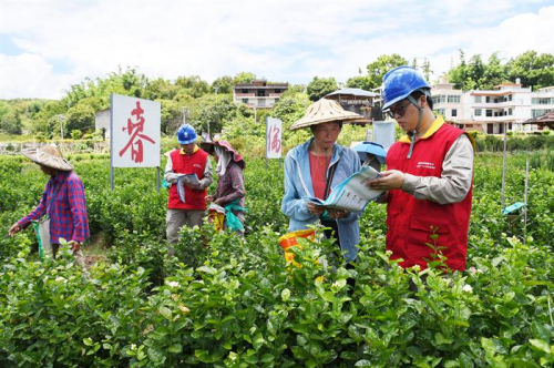 國網福州供電公司：深化“陽光業擴”平臺應用 助力企業數字化轉型