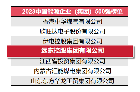遠(yuǎn)東控股上榜中國能源企業(yè)500強(qiáng)