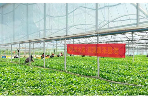 菜大俠生鮮的長期主義：以品質力持續創造價值