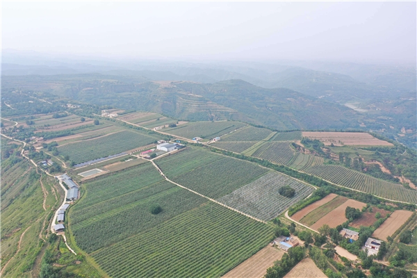 “陜西天都源農(nóng)業(yè)科技發(fā)展股份”——秦脆蘋果打造行業(yè)新標(biāo)桿