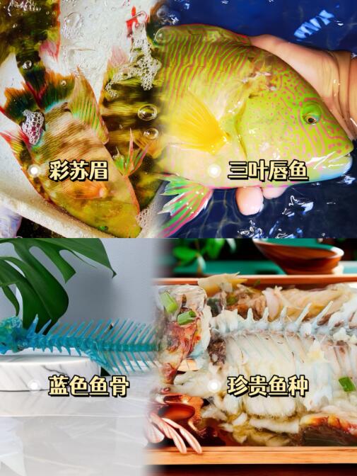 QQ截圖20231208110746.jpg