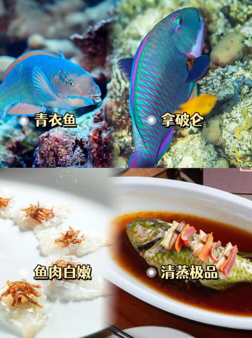 品味海南的深海饋贈—來自海南澎海國際漁業(yè)的野生深海魚