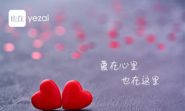 也在網：以專業化服務實現社會價值，以實踐社會價值引領婚戀行業變革