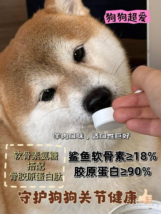 谷登品牌榮獲2023年PetAwards派讀獎“用戶喜愛的品牌”