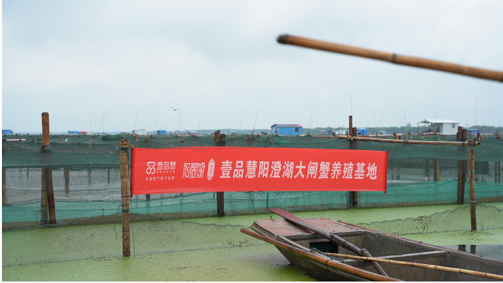 數字助農 智慧興農，壹品慧網格私域“店”商新零售讓科技賦能農產品