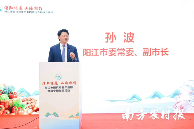 陽江市委常委、副市長孫波  