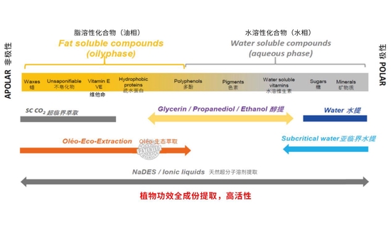 深耕大健康產(chǎn)業(yè)，以現(xiàn)代科技賦能傳統(tǒng)艾灸，艾唯久助力中醫(yī)科技化