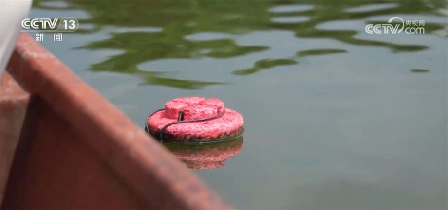 科技推動力助力養魚實現新模式 數字漁業應用前景廣闊