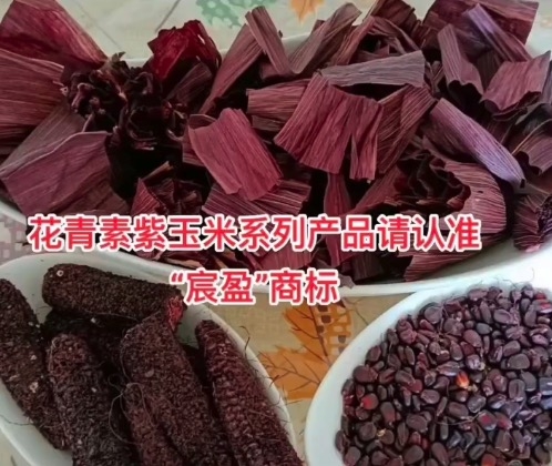 “湛江市循環農業發展有限公司”——生態種養 循環農業引領者