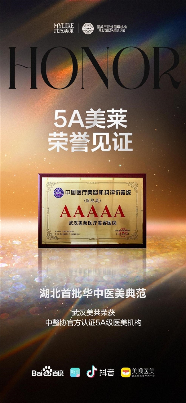 武漢美萊——榮譽認證！未來可期 不負榮譽！