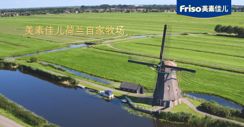 奶粉選購(gòu)小貼士:最新奶粉排行榜前十位牌子揭曉
