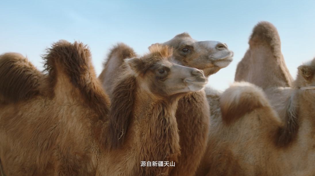圖片6.png
