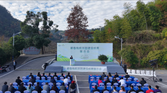 繁榮茶產業生態推廣有機茶品牌 蘄春召開有機茶園建設成果展示會