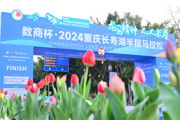 郁金香裝點馬拉松賽道。長壽湖景區供圖 華龍網發