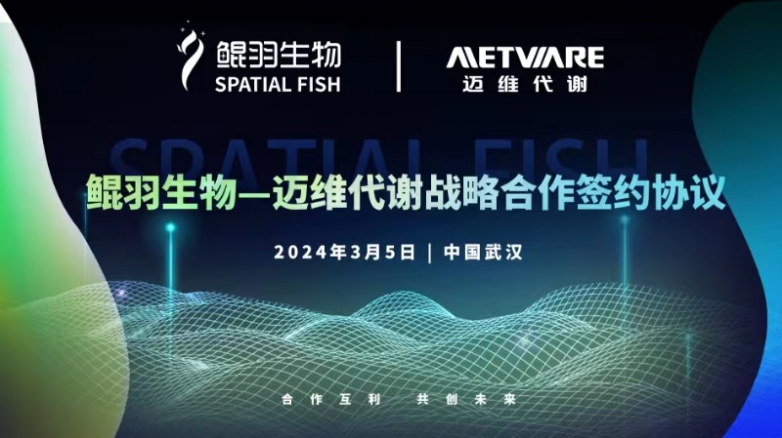 拓寬高分辨時空組學新領域 | 鯤羽生物與邁維代謝簽署戰略合作協議