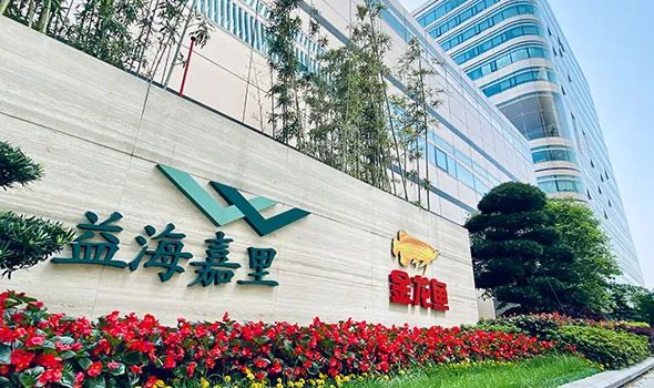 金龍魚2024繼續夯實自身地位和競爭力，助推行業高質量發展