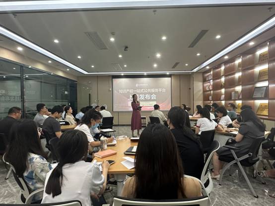 助力創新生態，打造服務新高地 | 知識產權一站式公共服務平臺正式上線