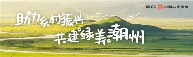 八千跑友共赴嶺東首邑！人民保險·2024潮州半程馬拉松賽精彩落幕