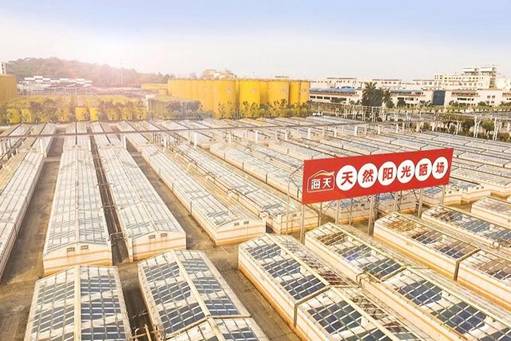 一季度業績穩中向好 海天醬油開啟調味品行業的“智”造新紀元