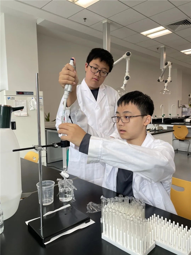 凱文少年,大任在肩丨朝陽凱文高中學生投身抗癌科創項目研究