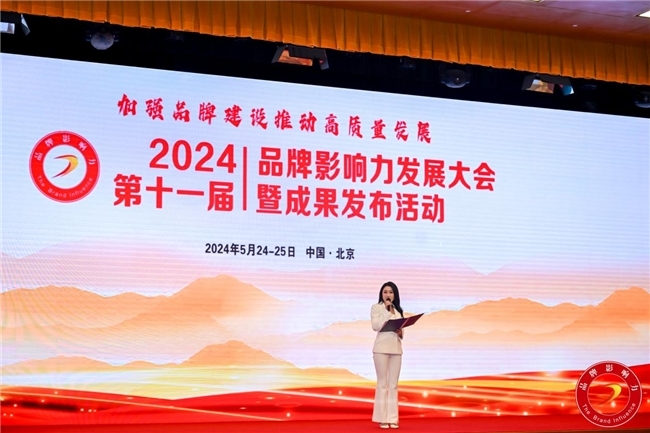 融輝集團受邀參加2024品牌影響力發展大會并一舉斬獲三項重磅大獎！