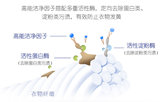 生物科技圖.jpg