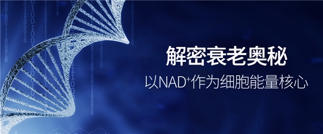 姍美博士品牌發布會探討細胞級抗衰趨勢，引爆新美業